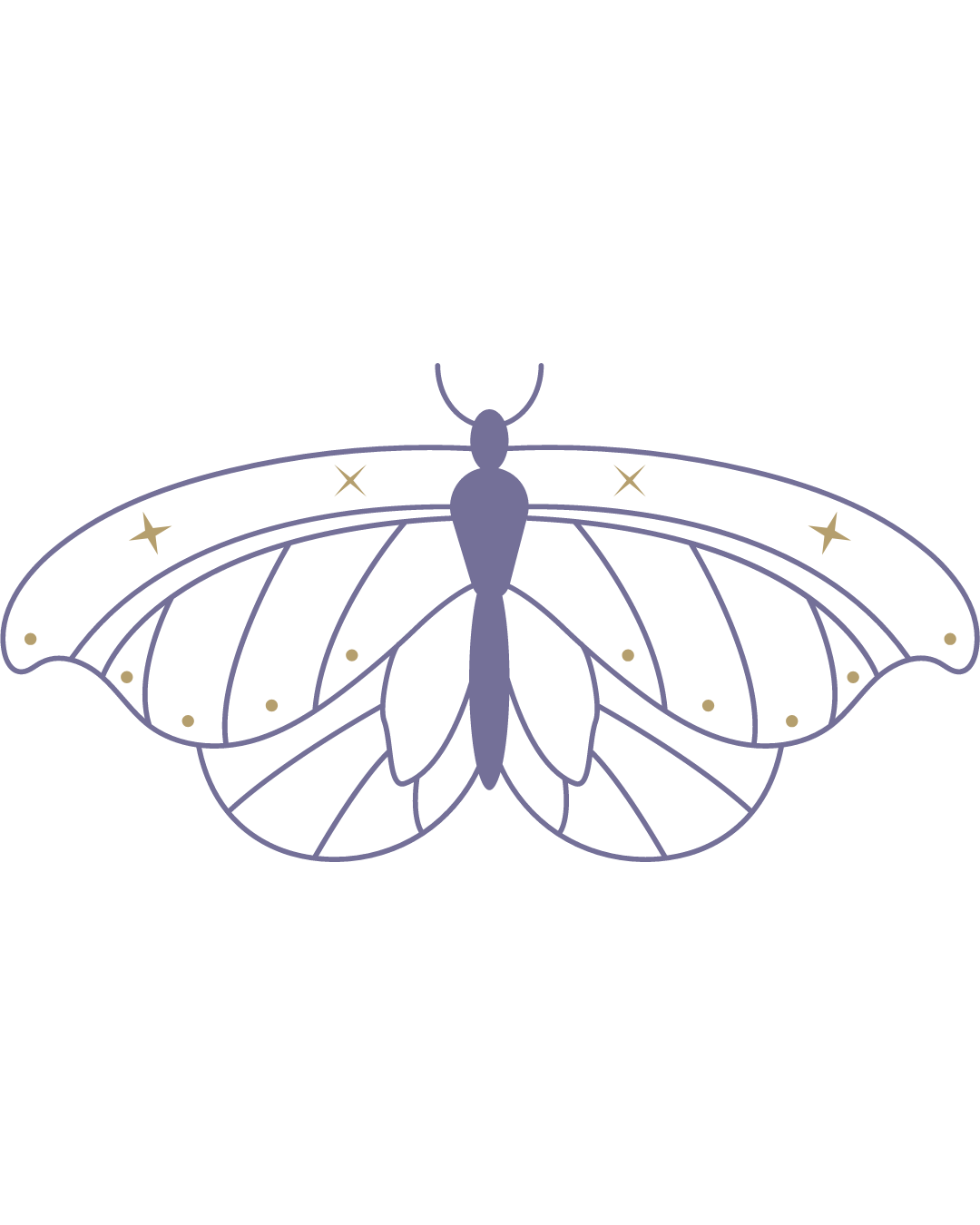 Etapa Mariposa