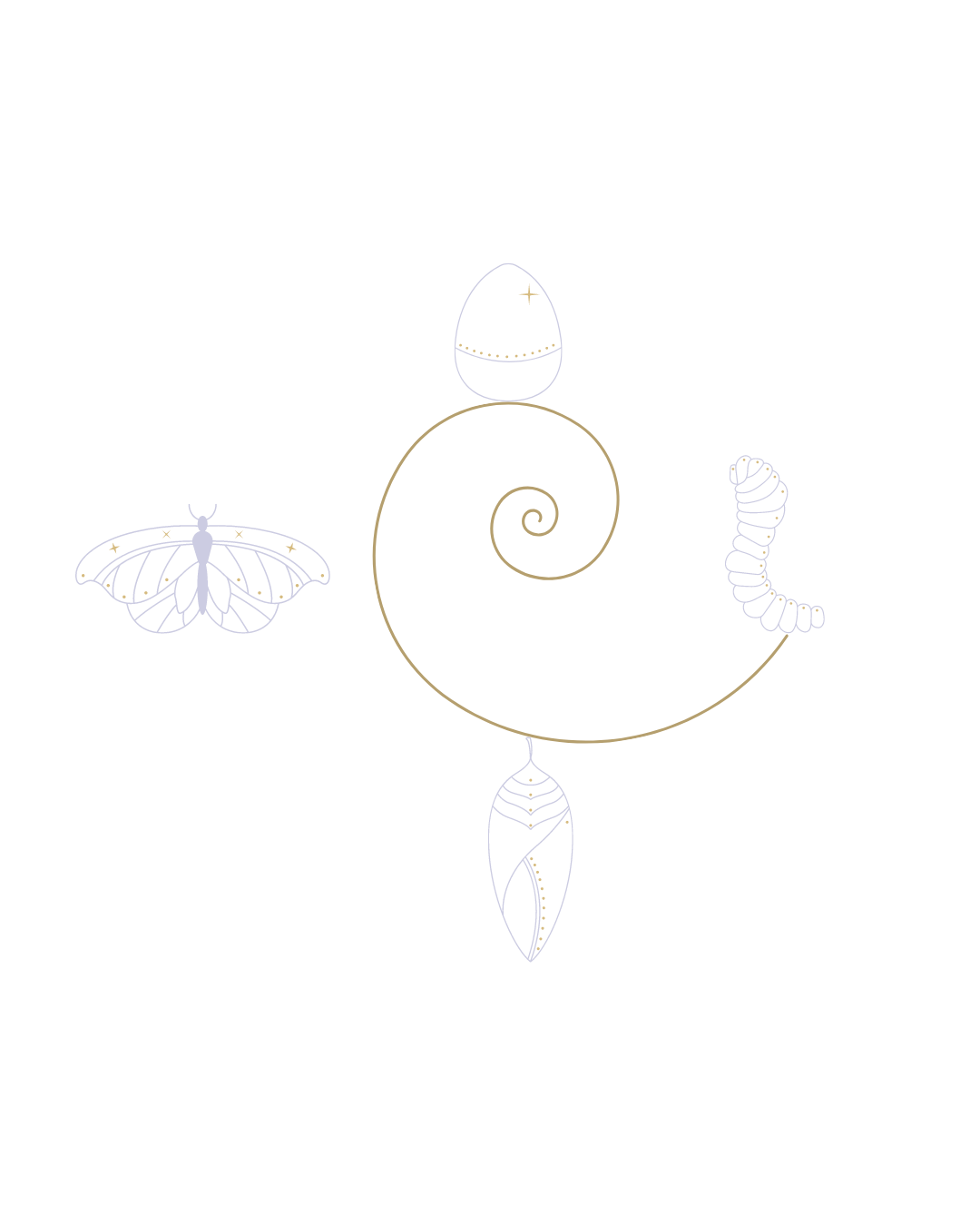 Diagrama en espiral del modelo transformacional: Huevo, Oruga, Crisálida y Mariposa